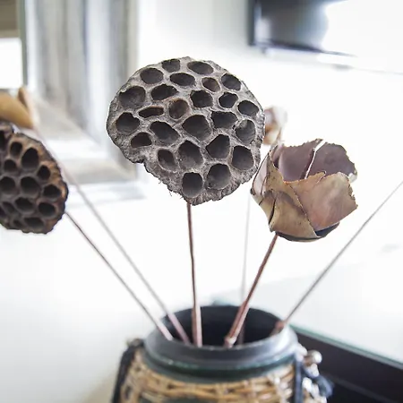 Quentin Design Berlin