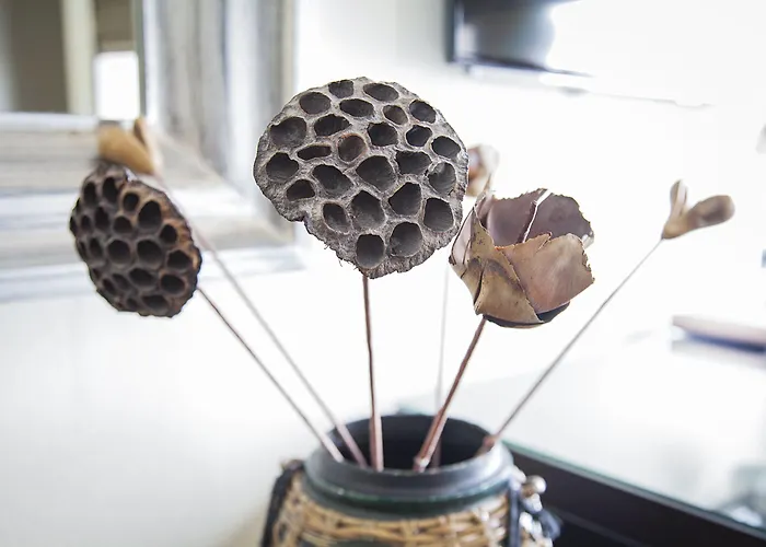 Quentin Design Berlino