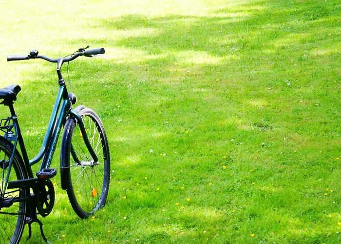 كوينتين البوتيكي